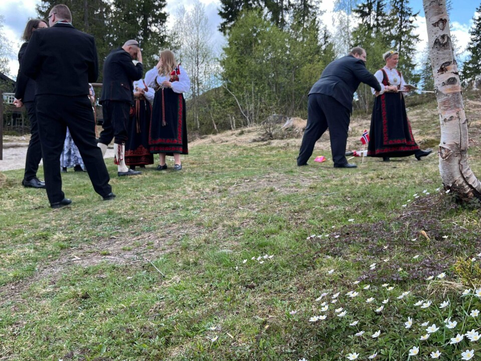 Kaste på stikka-køen tiltrekker flest vaksne i Øyfjell, men det er ikkje det som er det merkverdige. For sjå, bjørka er heilt utspretten!
