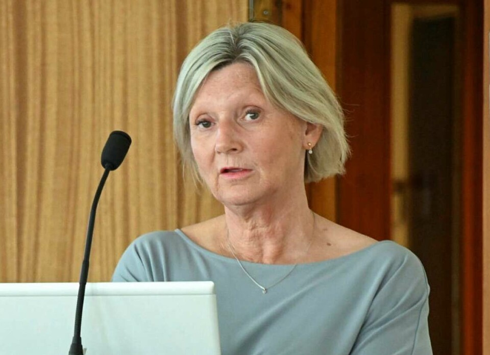 Leiar: Gunn Annie Hellestad er leiar i det interkommunale barnevernsamarbeidet i Vest-Telemark. (Arkivfoto)