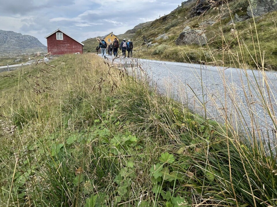 Vandring: Det skjer noko med oss når me er oss ute i naturen. Det er som om det er andre reglar som rår. Praten går lettare, stilla kjennast annleis og tankane tek andre vegar enn dei gjer til vanleg, heiter det i invitasjonen til Vandring for forandring.