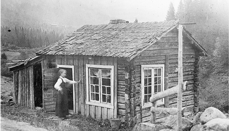 Ei av dei bittesmå husmannsstogene i boka.