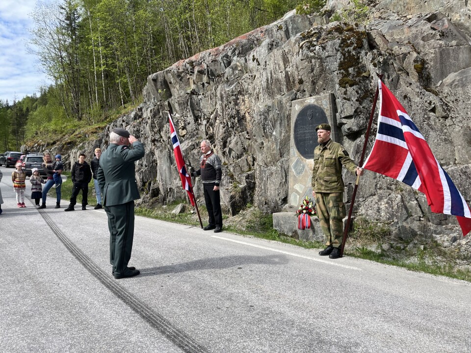 «Til minne om den fedrelandskjærleik og det kampmot som blei synt av dei friviljuge nordmenn i striden mot tyskarane her den 3. mai 1940» står det på minneplata i Liosvingen.