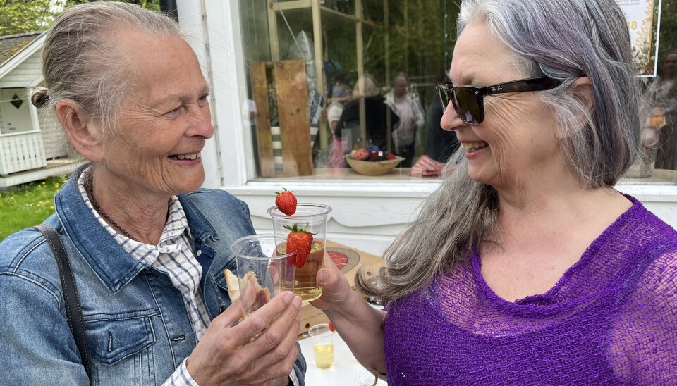 Marianne Bøgh Stømner (t.v.) og Linda Iren Grytten stiller ut produkt på Lokalbui.