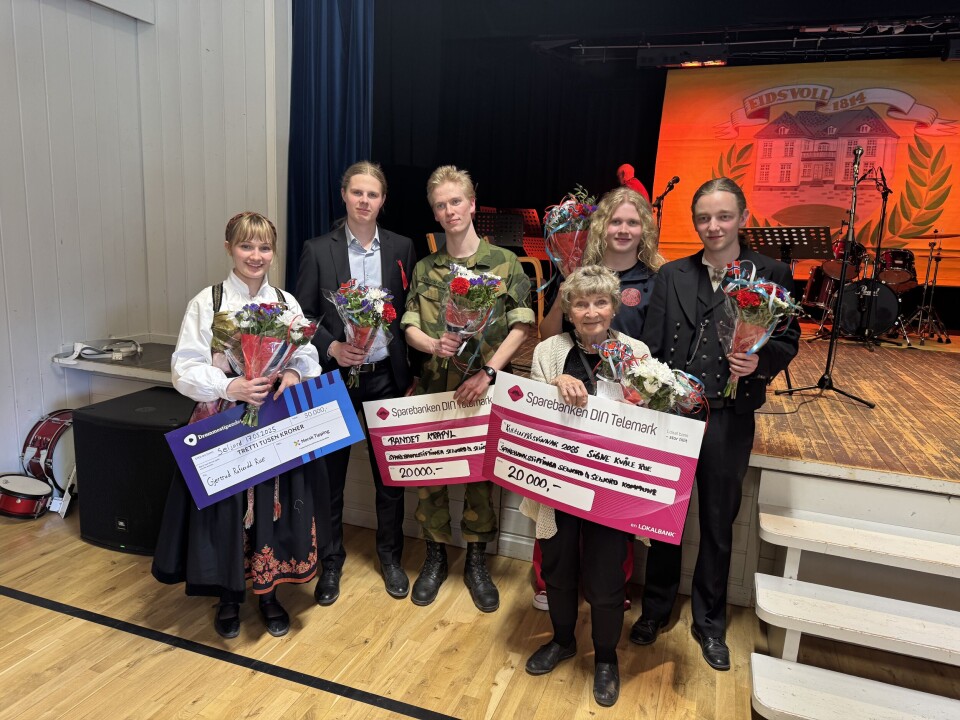 Gjertrud Raftevold Rue, bandet Krapyl og Signe Kvåle Rue fekk alle heider i Flatdal 17. mai.