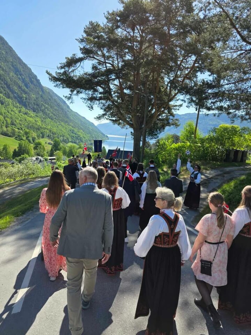 Ein del av toget i Lårdal