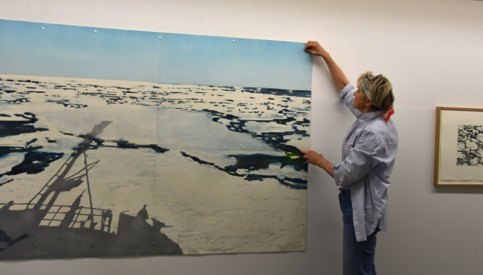 Når ein ser kunstverka til årets gjesteutstillar på Eva Bull Holtes Museum på Sneie, så går ein rundt i det arktiske landskapet, som grafikaren Ellen Karin Mæhlum er så oppteken av.