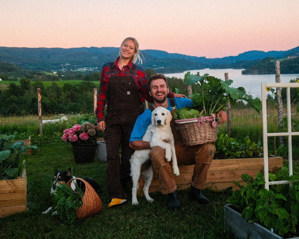 Lise Marit og Martin driv Syftestad gard på Notodden på ein moderne måte, og tilbyr mellom anna «Paint On Pots».