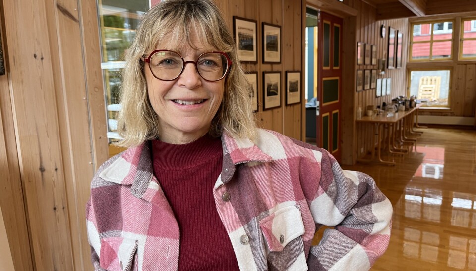 Signe Marie Fosli Stenseth (KrF) frå Dalen stiller til debatt på Dalsmarken.