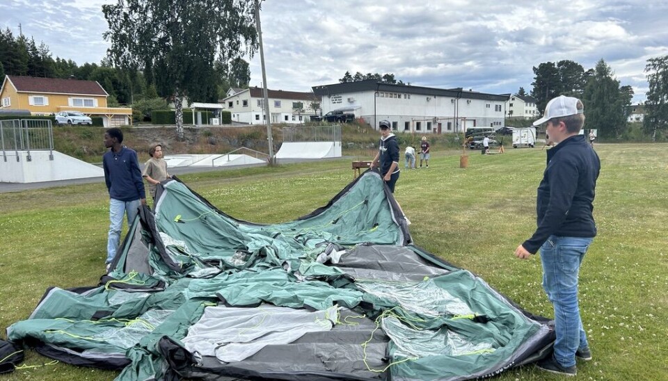 Martin Westvang, Viktor Ugland, Vilde Eikeberg og Vetle Eckdahl Book kjem frå Tønsberg og var torsdag i full gang med å sette opp teltet dei skal sove i på leiren.