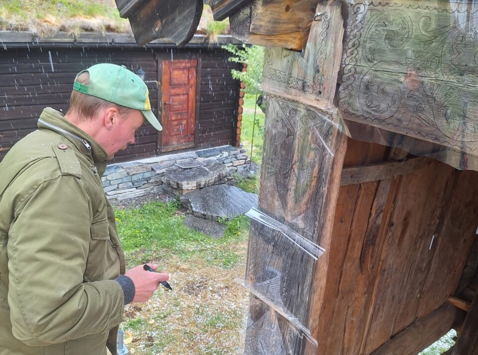 – Eg trur telemarkingane er litt bortskjemt med mykje fint gamalt, og ikkje heilt forstår kor fantastisk slike ting er, seier Boni Wiik frå Treskjærerverkstedet AS. Her undersøker kollegaen hans August Horn utskjeringane på Aamdal Heimistog.