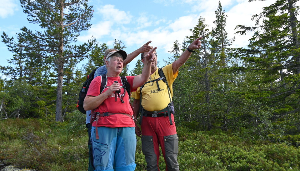 Geir, Gunhild og Rune peiker.