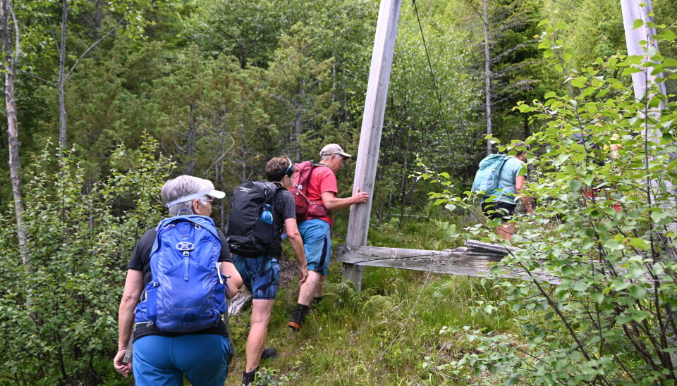 Turen til Myrbufjell starta opp langs ein gamal taubane.