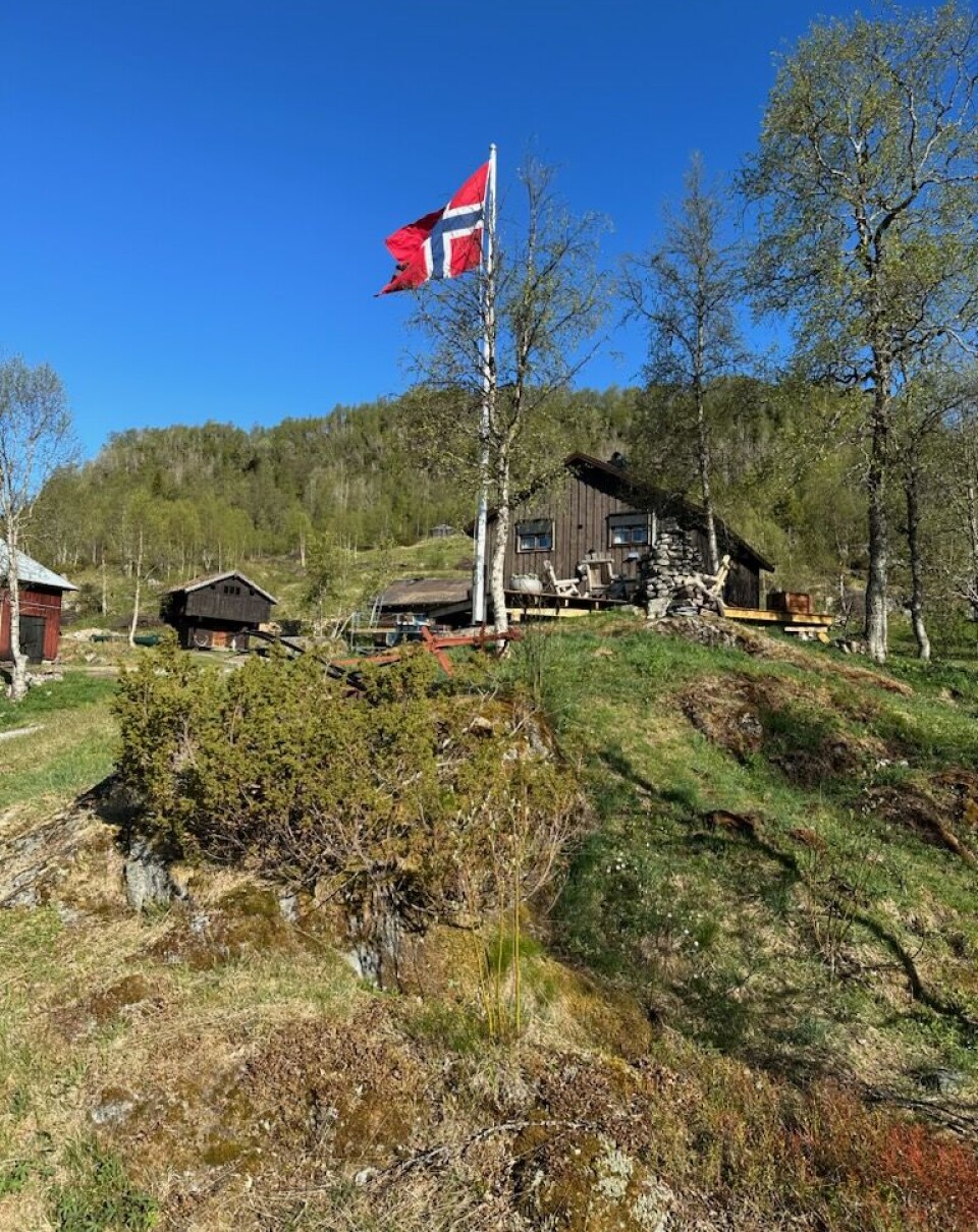 Frå 17. mai i år.