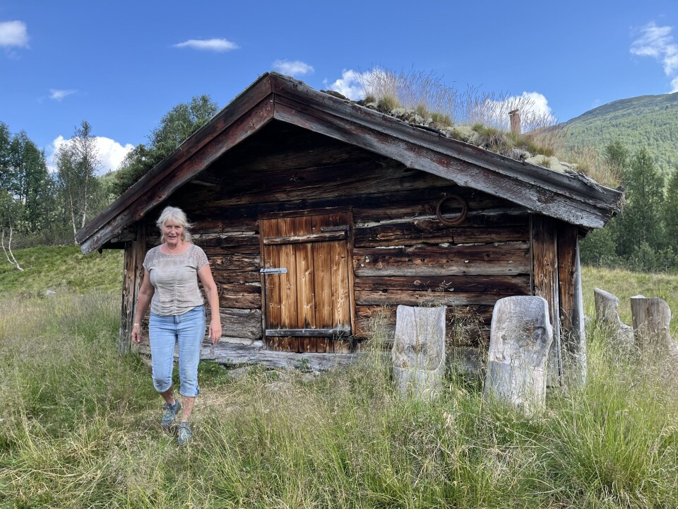 Det er om lag 20 hus og hytter på eigedommen som høyrer til Skuldalen, som er på 3500 mål. Her frå Åsstaul.