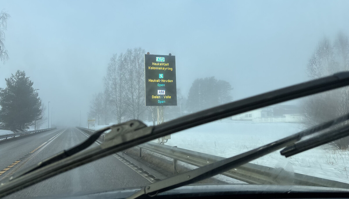 Heller måker enn våte kråker