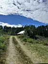 Grusveg mot raud og kvit hytte ved skogkanten under blå himmel.