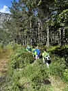 Fleire personar går på sti gjennom skog ved eit vatn.