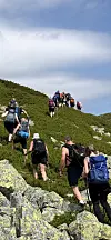 Turgåarar går opp ei bratt fjellside med grønt underlag og steinar.
