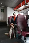 Ein mann sit på eit tog med ein hund framfor seg.