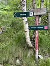 Skilt ved eit stiskilje i skog med pil mot Skorve og Skorve-Geysen.