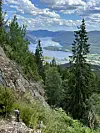 Skogkledd fjellside med utsikt mot fjord, øyar og fjell under skyer.