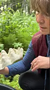 Kvinne i skogen held lyse soppar over ein mørk behaldar.
