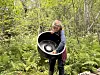 Person held ein stor høgtalar mellom bregner i skogen.