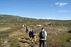 Turfolk går på sti gjennom eit ope høgfjellslandskap.