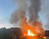 Flammar og tjukk røyk stig opp frå ein brann framfor ein skog.