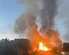 Flammar og tjukk røyk stig opp frå ein brann framfor ein skog.