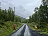 Våt smal veg gjennom skog med raudkvite stolpar og gule vegmerke.