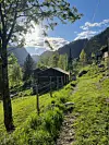 Smal sti forbi ei trebygning i eit solfylt, skogkledd fjellandskap.